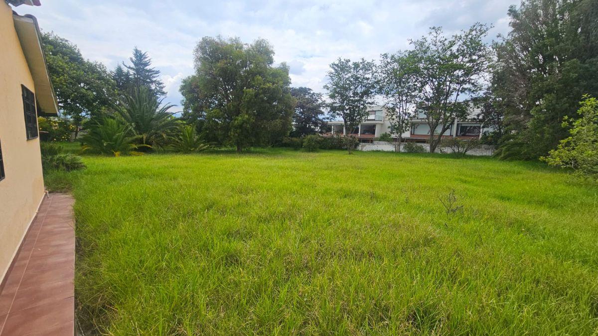 Propiedad en Arriendo Sector Hilacril Tumbaco — imagen 7