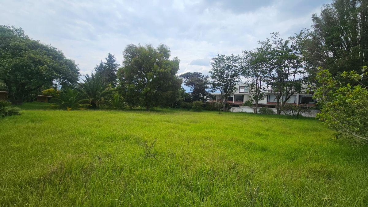 Propiedad en Arriendo Sector Hilacril Tumbaco — imagen 6