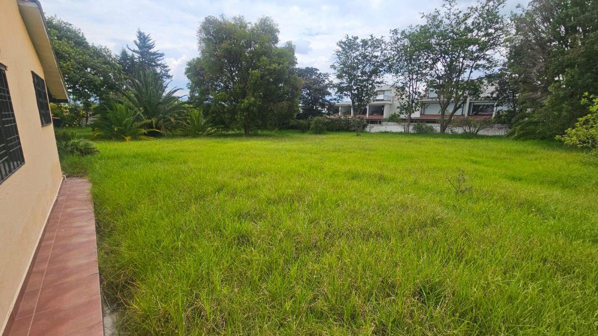 Propiedad en Arriendo Sector Hilacril Tumbaco — imagen 5