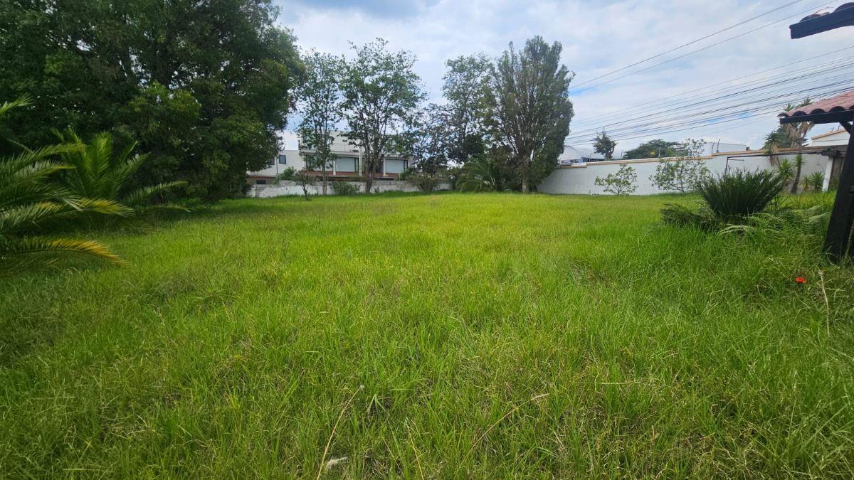 Propiedad en Arriendo Sector Hilacril Tumbaco — imagen 4