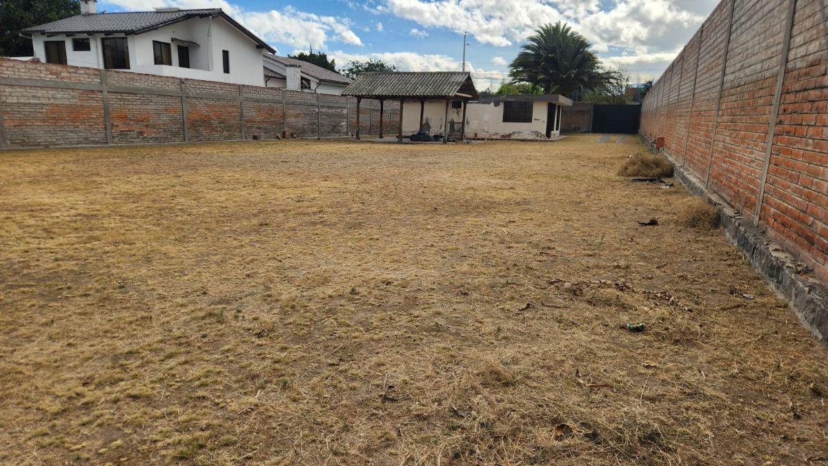 Terreno de 1280 m² en Renta en Tumbaco El Arenal — imagen 6