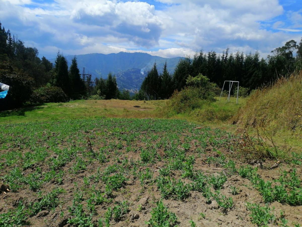 Terreno en Venta Sector Conocoto Ideal Para Proyecto Vip — imagen 8