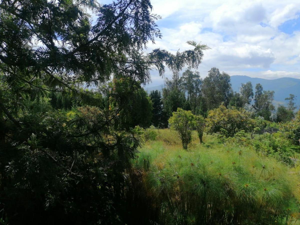 Terreno en Venta Sector Conocoto Ideal Para Proyecto Vip — imagen 7