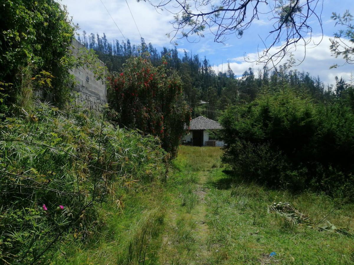 Terreno en Venta Sector Conocoto Ideal Para Proyecto Vip — imagen 6