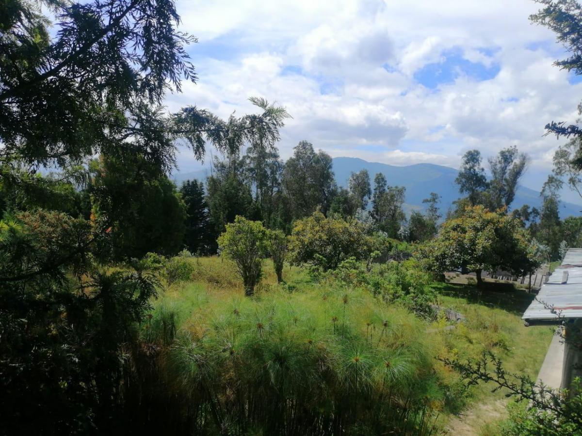 Terreno en Venta Sector Conocoto Ideal Para Proyecto Vip — imagen 5