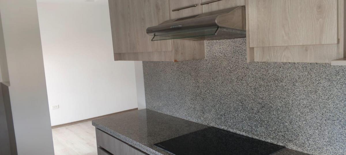 Suite en Renta — imagen 8