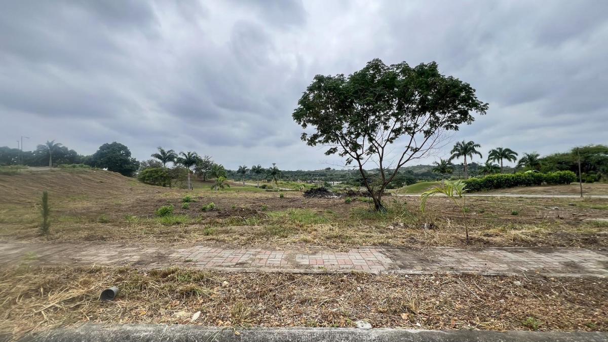 Venta de Terreno Residencial de 853 m² Via a La Costa, Guayas — imagen 6