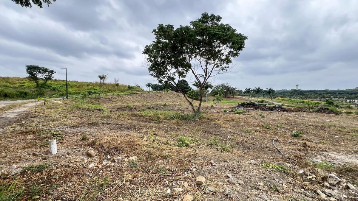 Venta de Terreno Residencial de 853 m² Via a La Costa, Guayas — imagen 3