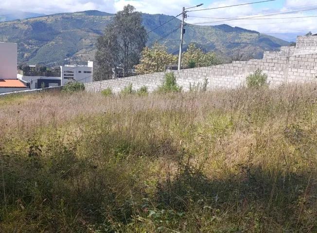 Terreno de 2672 m² en Venta en San Juan de Cumbayá — imagen 6