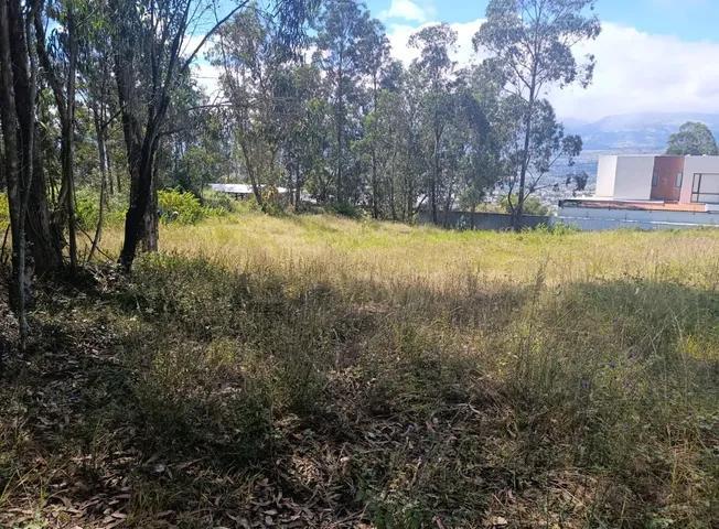 Terreno de 2672 m² en Venta en San Juan de Cumbayá — imagen 4