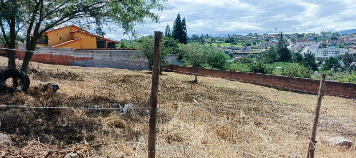 Vendo Lote Esquinero de 1080 m² Dentro de Urb San José de La Viña - Tumbaco — imagen 5