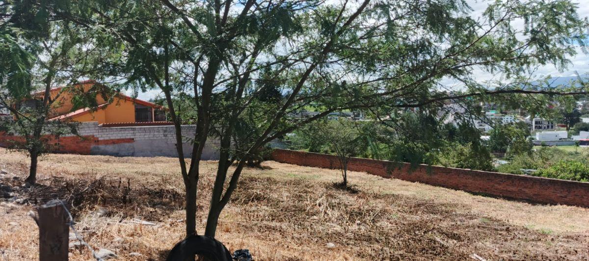 Vendo Lote Esquinero de 1080 m² Dentro de Urb San José de La Viña - Tumbaco — imagen 4