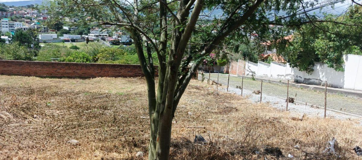 Vendo Lote Esquinero de 1080 m² Dentro de Urb San José de La Viña - Tumbaco — imagen 2