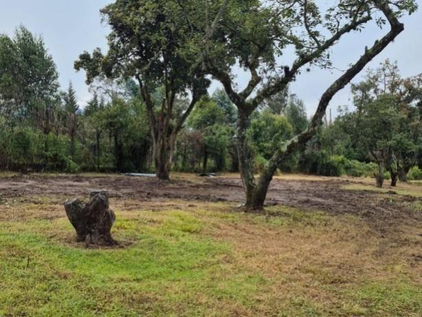 Venta Oportunidad! Terreno en Puembo Sector Club La Palma — imagen 5
