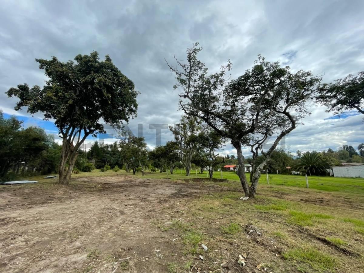 Venta Oportunidad! Terreno en Puembo Sector Club La Palma — imagen 4