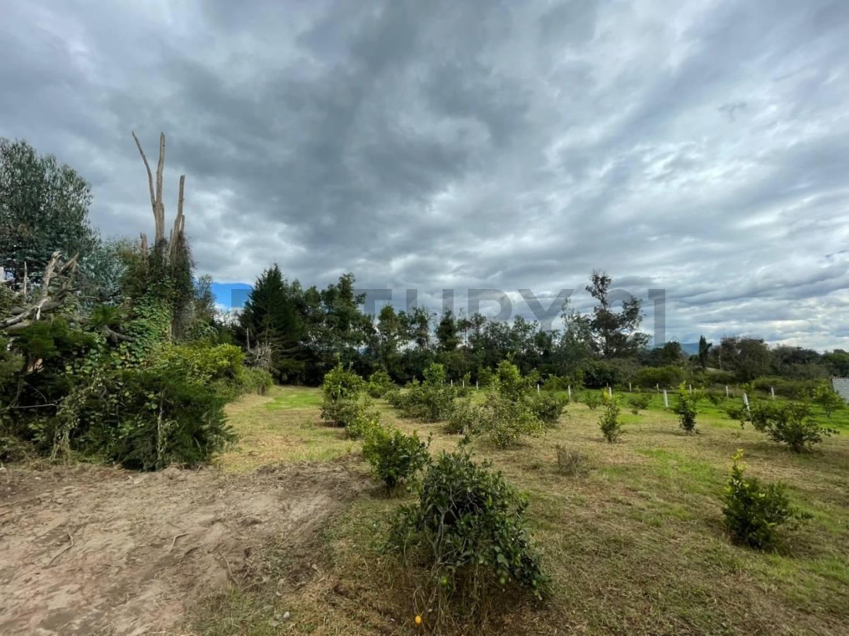 Venta Oportunidad! Terreno en Puembo Sector Club La Palma — imagen 3