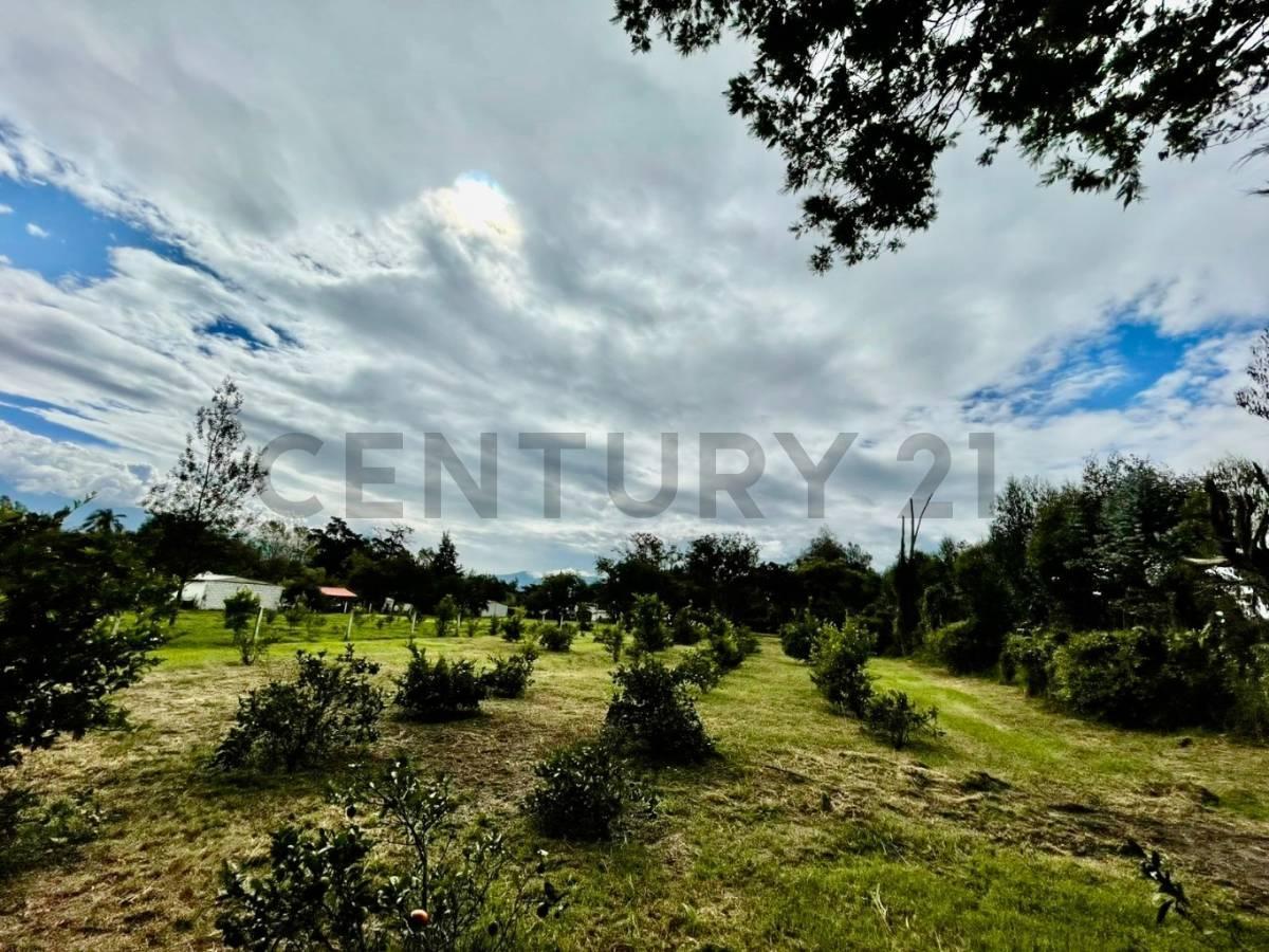 Venta Oportunidad! Terreno en Puembo Sector Club La Palma — imagen 2