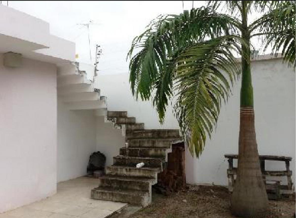 Local Comercial / Oficinas, El Oro — imagen 10