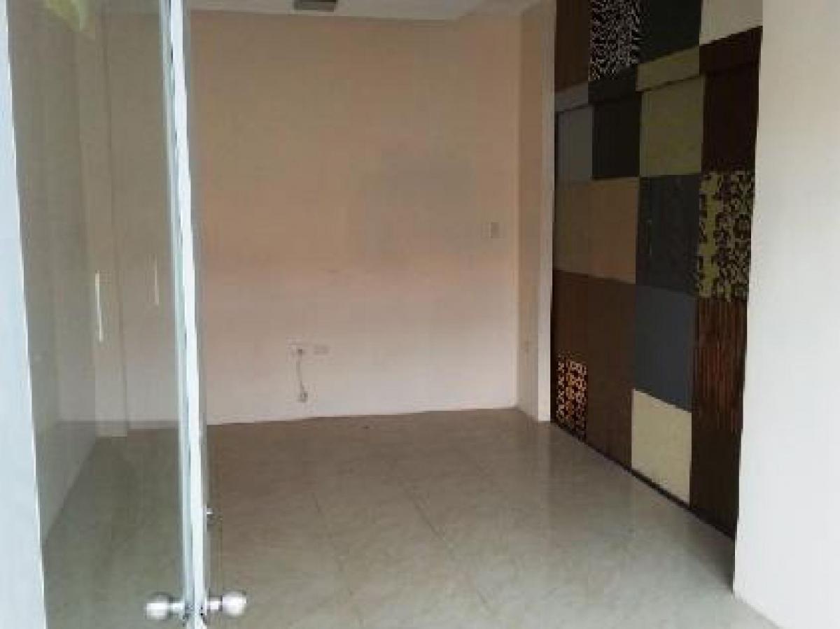 Local Comercial / Oficinas, El Oro — imagen 6