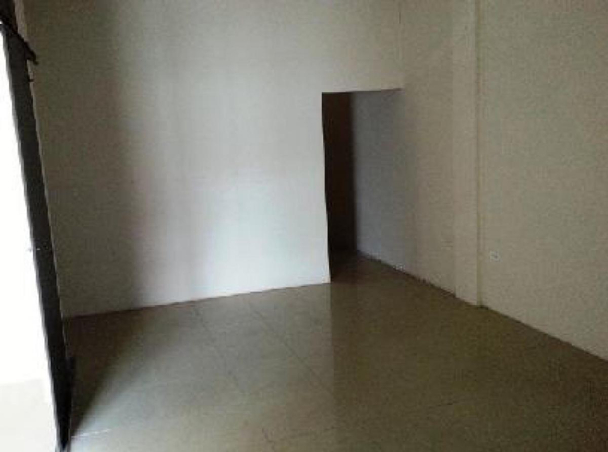 Local Comercial / Oficinas, El Oro — imagen 3