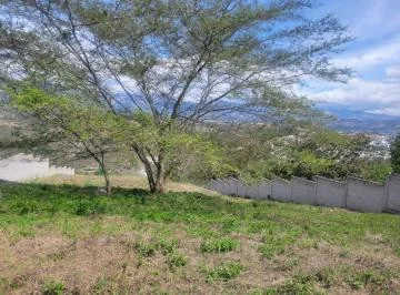 Terreno en Arriendo Nayon — imagen 3