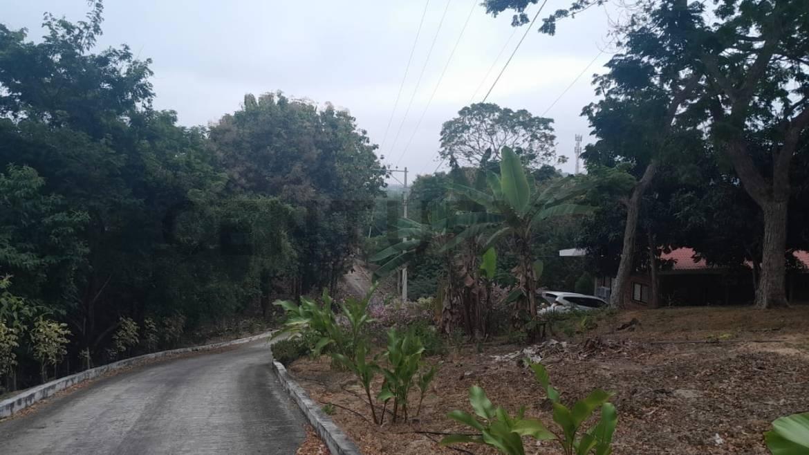 Finca de Venta Km 36 Via a La Costa Perfecta Para Uso Residencial o Comercial, Guayas — imagen 6