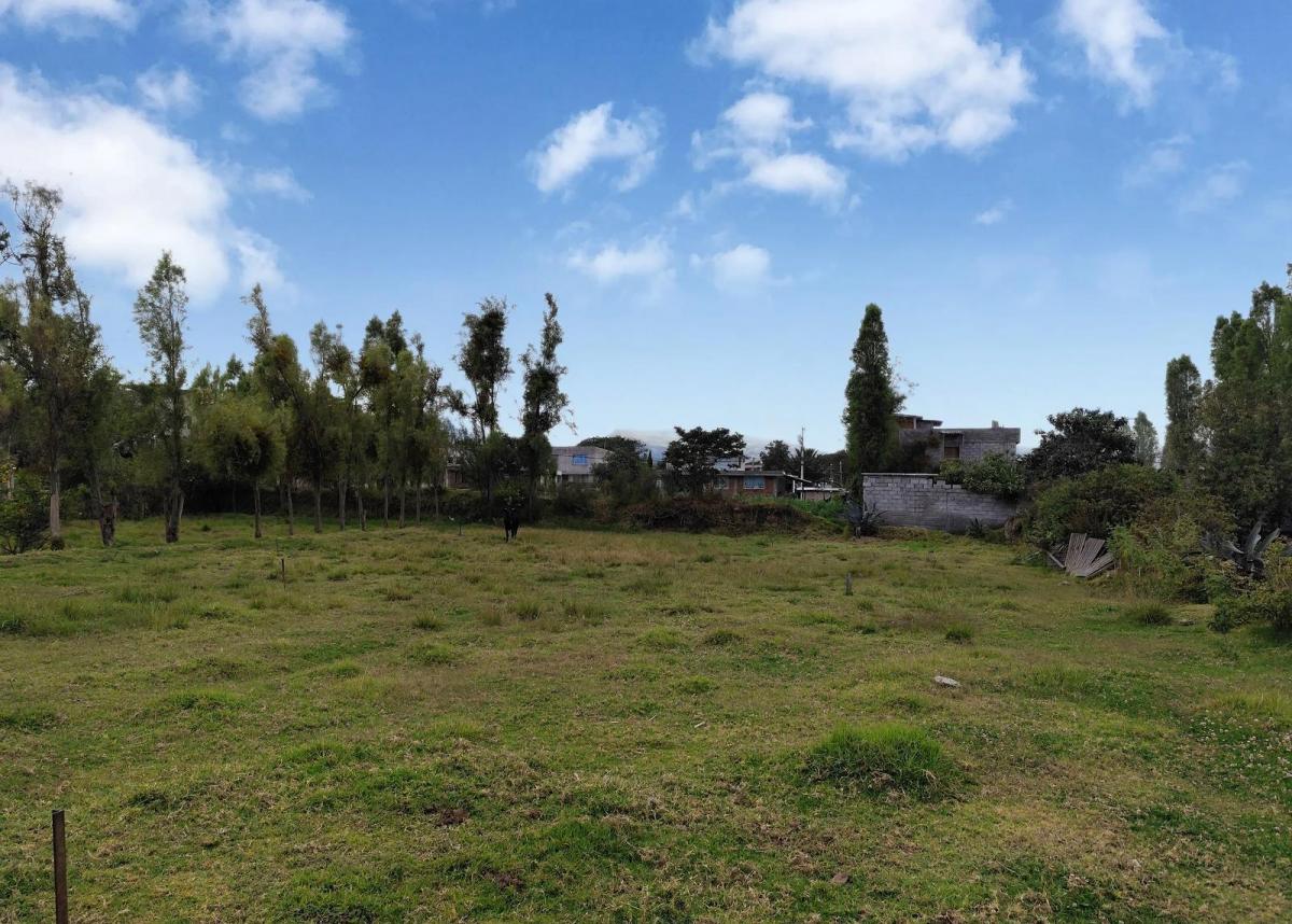 Rento Terreno 4.831 m² Tumbaco Sector Tola Chica 3 — imagen 5