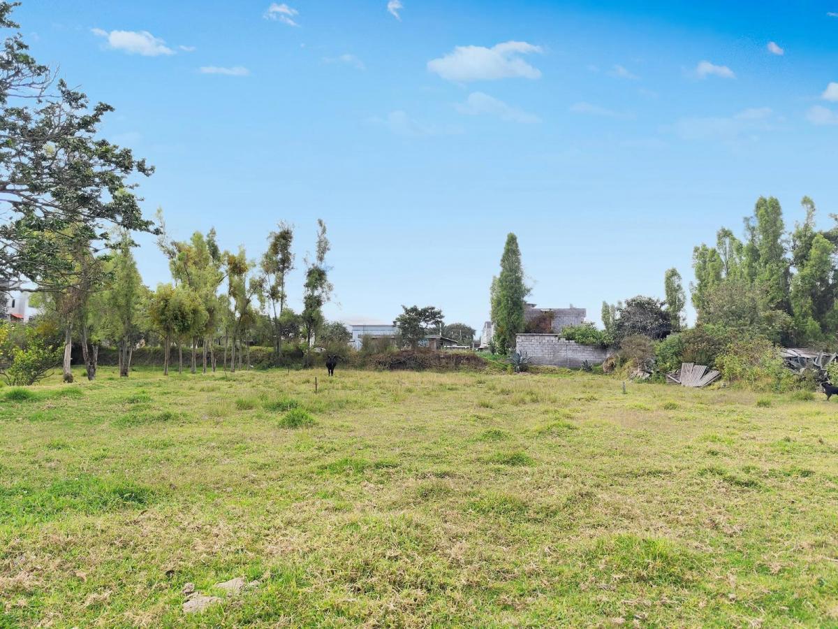 Rento Terreno 4.831 m² Tumbaco Sector Tola Chica 3 — imagen 2