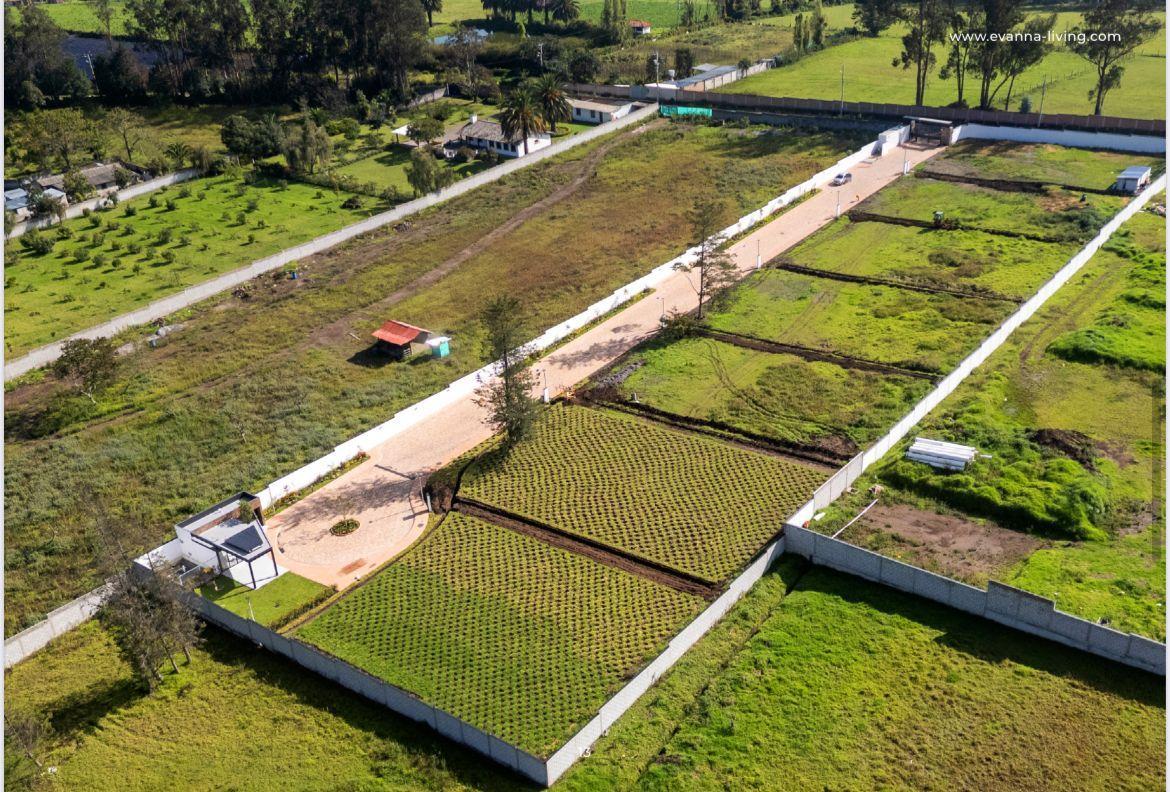 Exclusivos Lotes en Puembo, en La Mejor Ubicación — imagen 5