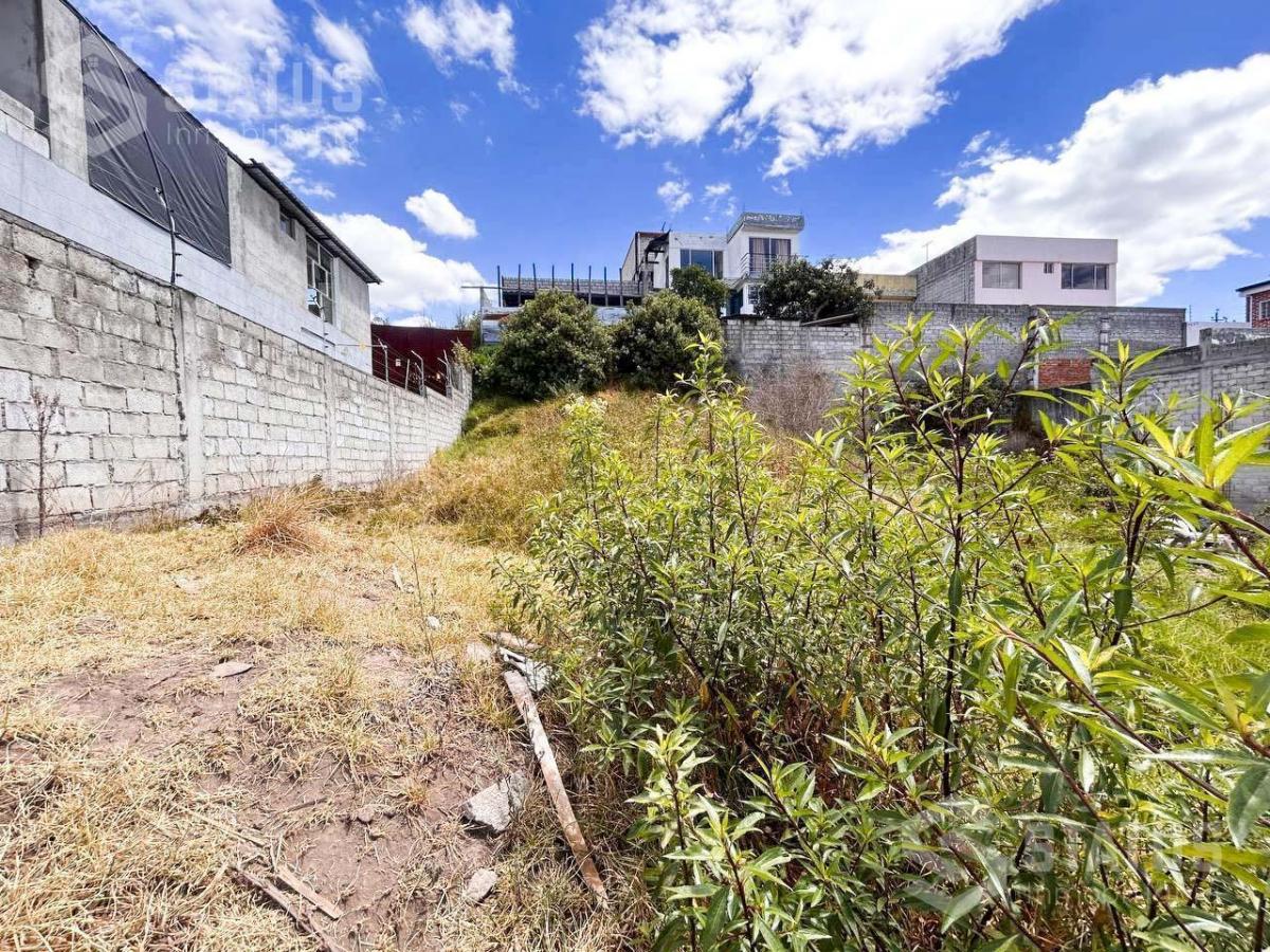 Venta de Terreno Sector Conocoto – Santa Mónica — imagen 9