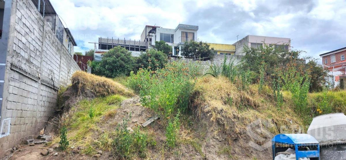 Venta de Terreno Sector Conocoto – Santa Mónica — imagen 5