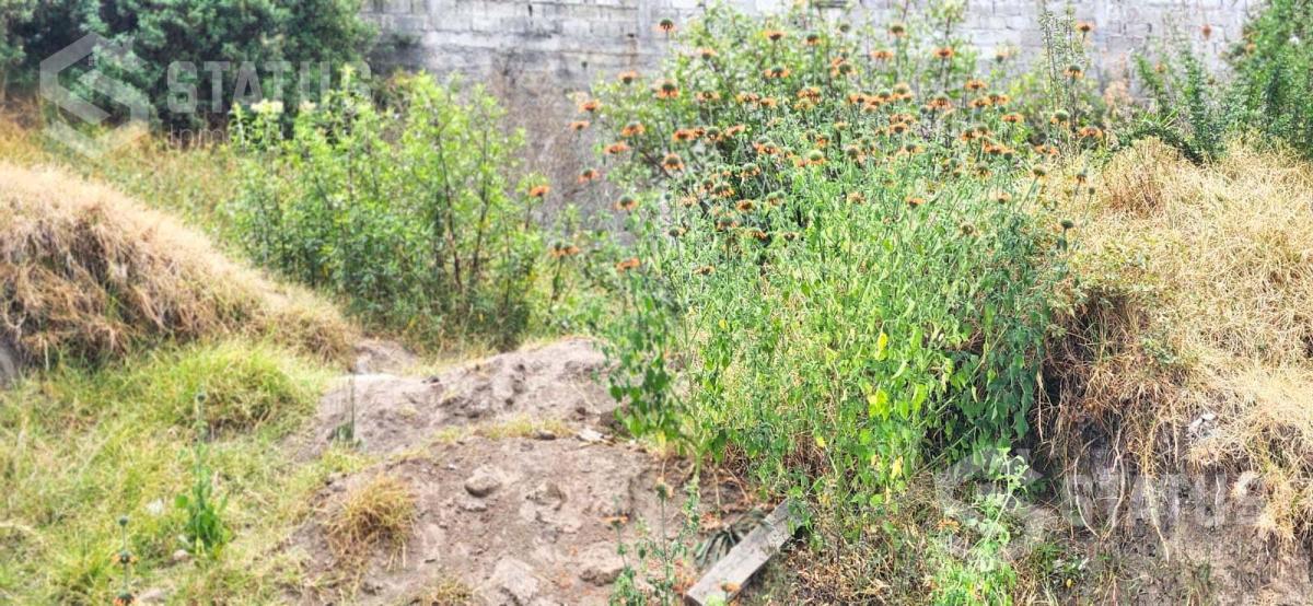 Venta de Terreno Sector Conocoto – Santa Mónica — imagen 2