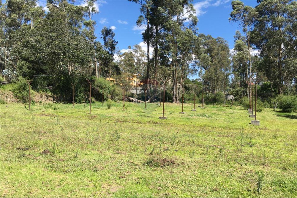 Vendo Hermos0 Terreno 2.837,50 m² Conocoto — imagen 10