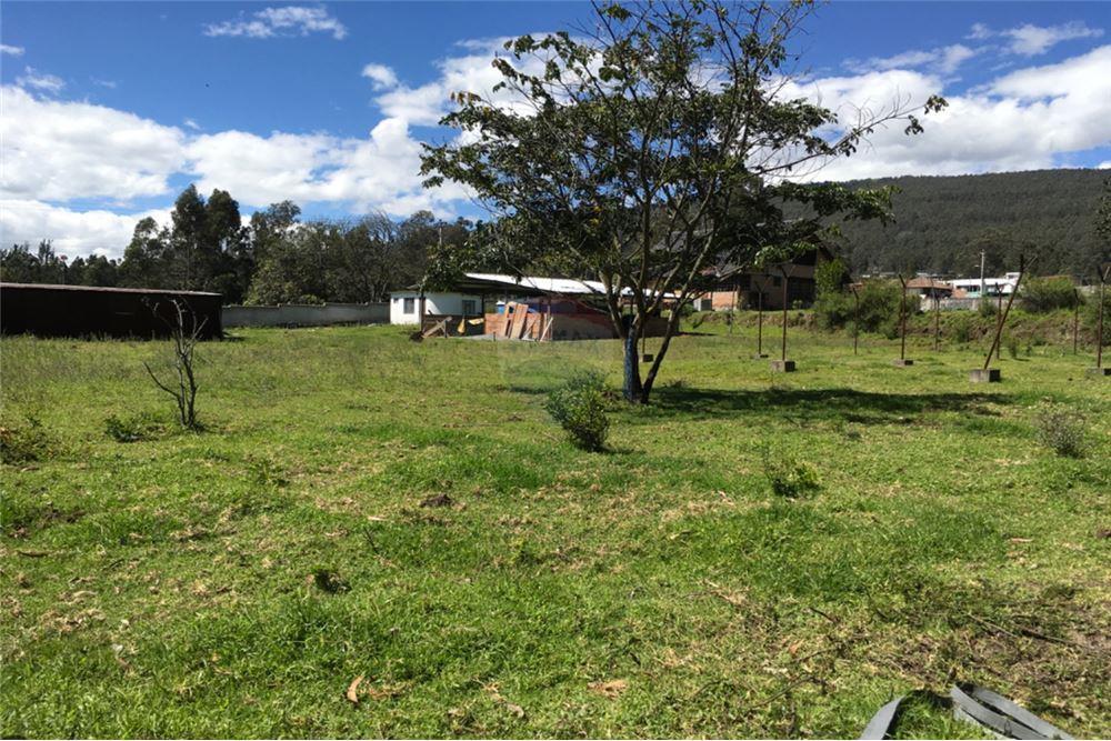 Vendo Hermos0 Terreno 2.837,50 m² Conocoto — imagen 7