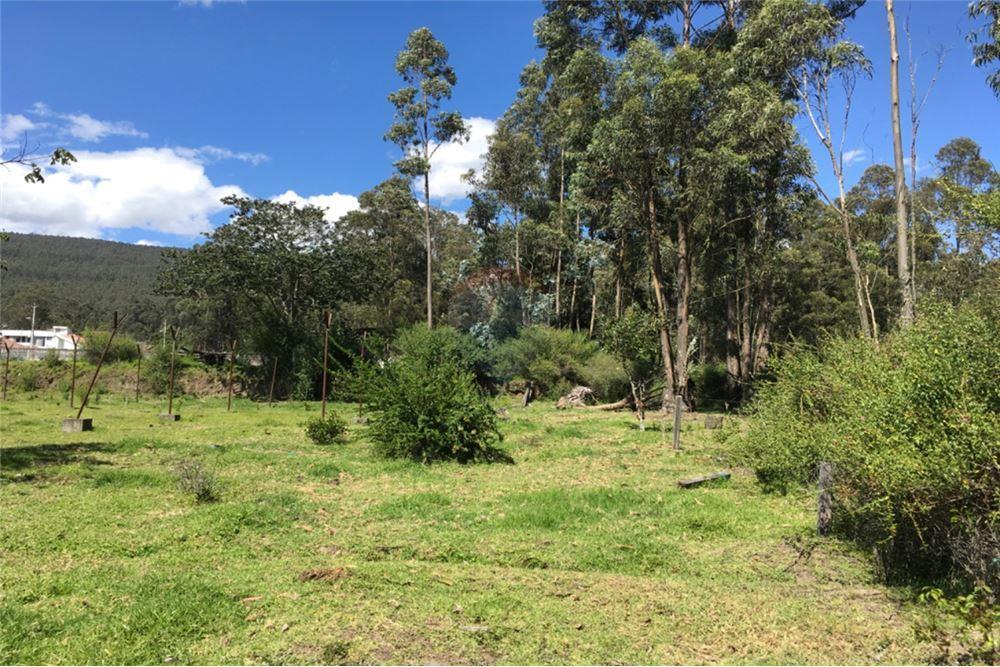 Vendo Hermos0 Terreno 2.837,50 m² Conocoto — imagen 6
