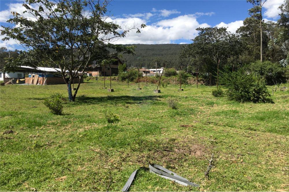 Vendo Hermos0 Terreno 2.837,50 m² Conocoto — imagen 5
