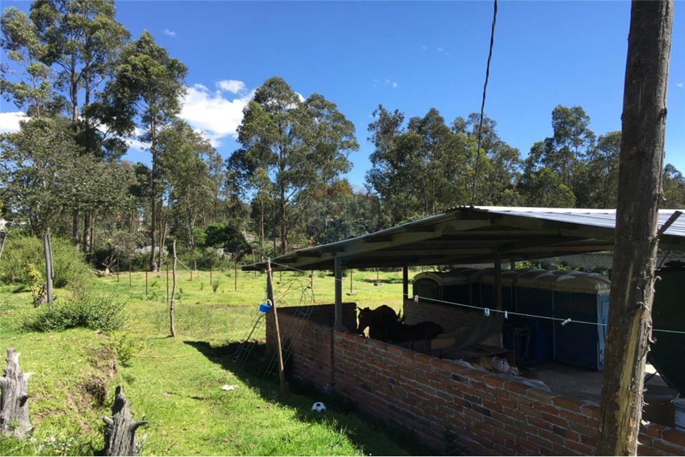 Vendo Hermos0 Terreno 2.837,50 m² Conocoto — imagen 2