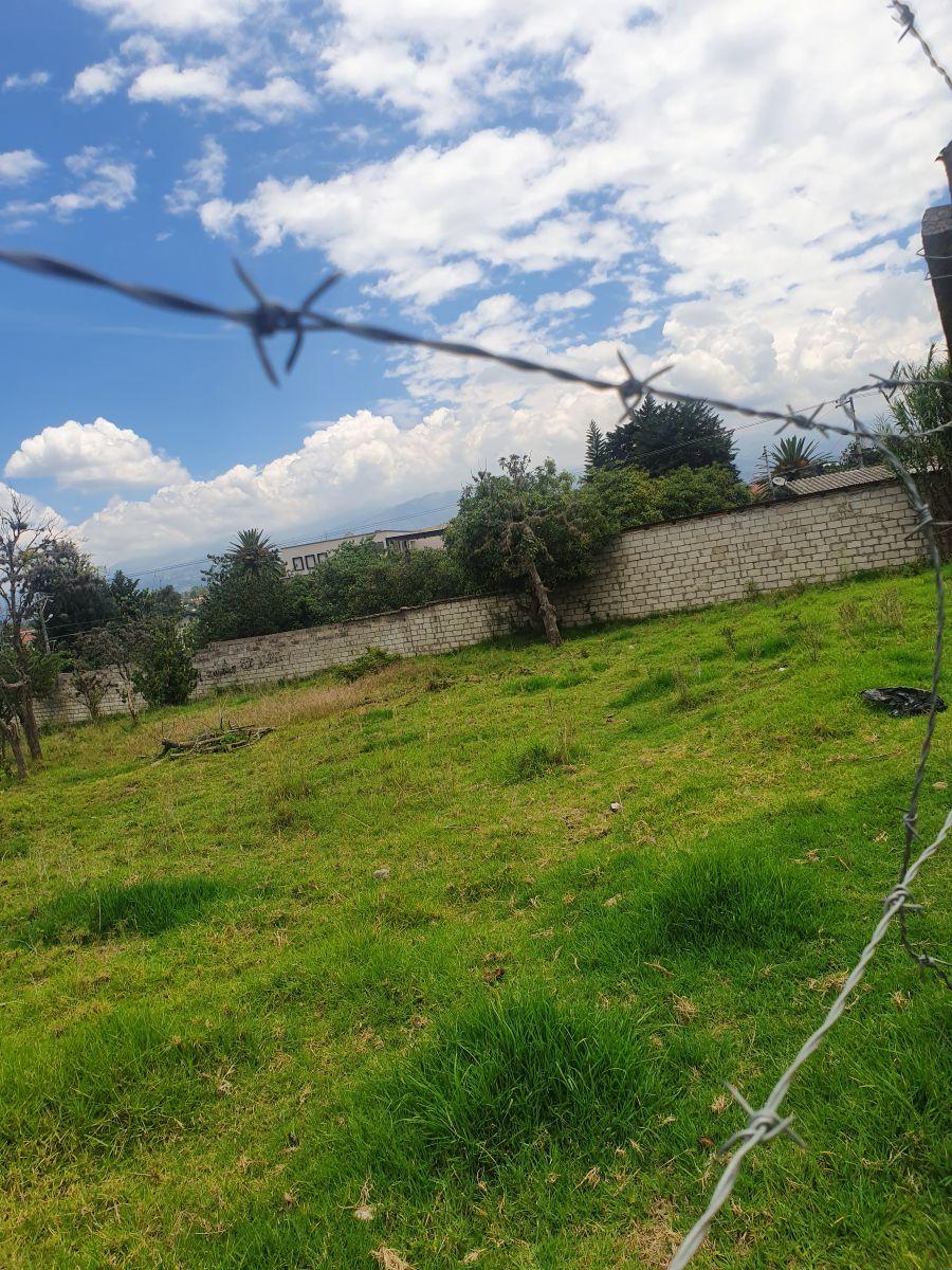 Terreno en Venta en Tumbaco | a Solo 3 Minutos del Parque Central | Excelente Ubicación — imagen 10