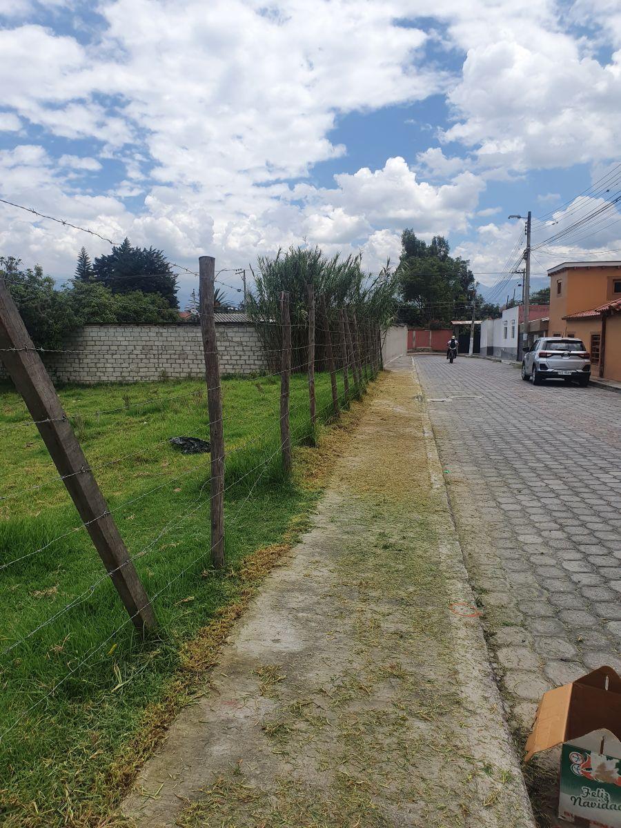 Terreno en Venta en Tumbaco | a Solo 3 Minutos del Parque Central | Excelente Ubicación — imagen 9