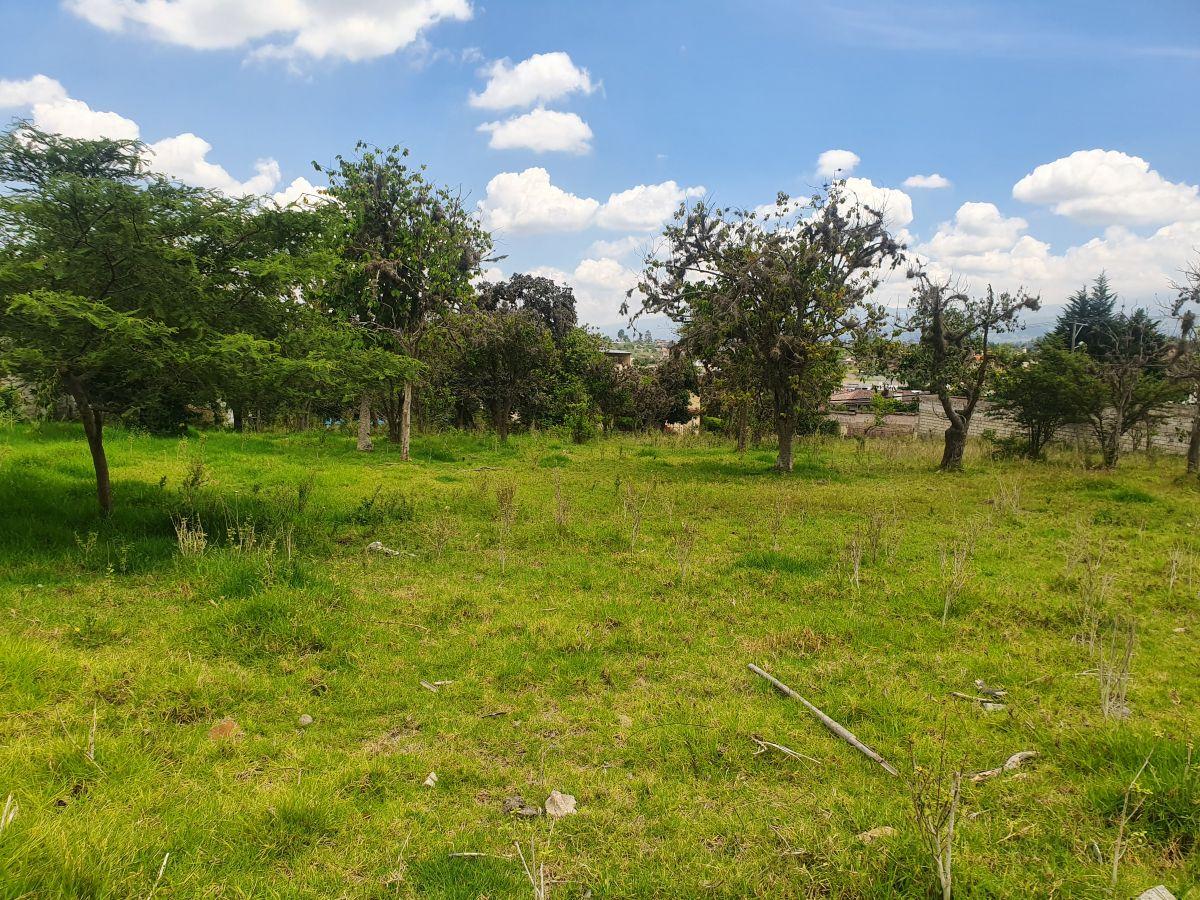 Terreno en Venta en Tumbaco | a Solo 3 Minutos del Parque Central | Excelente Ubicación — imagen 8