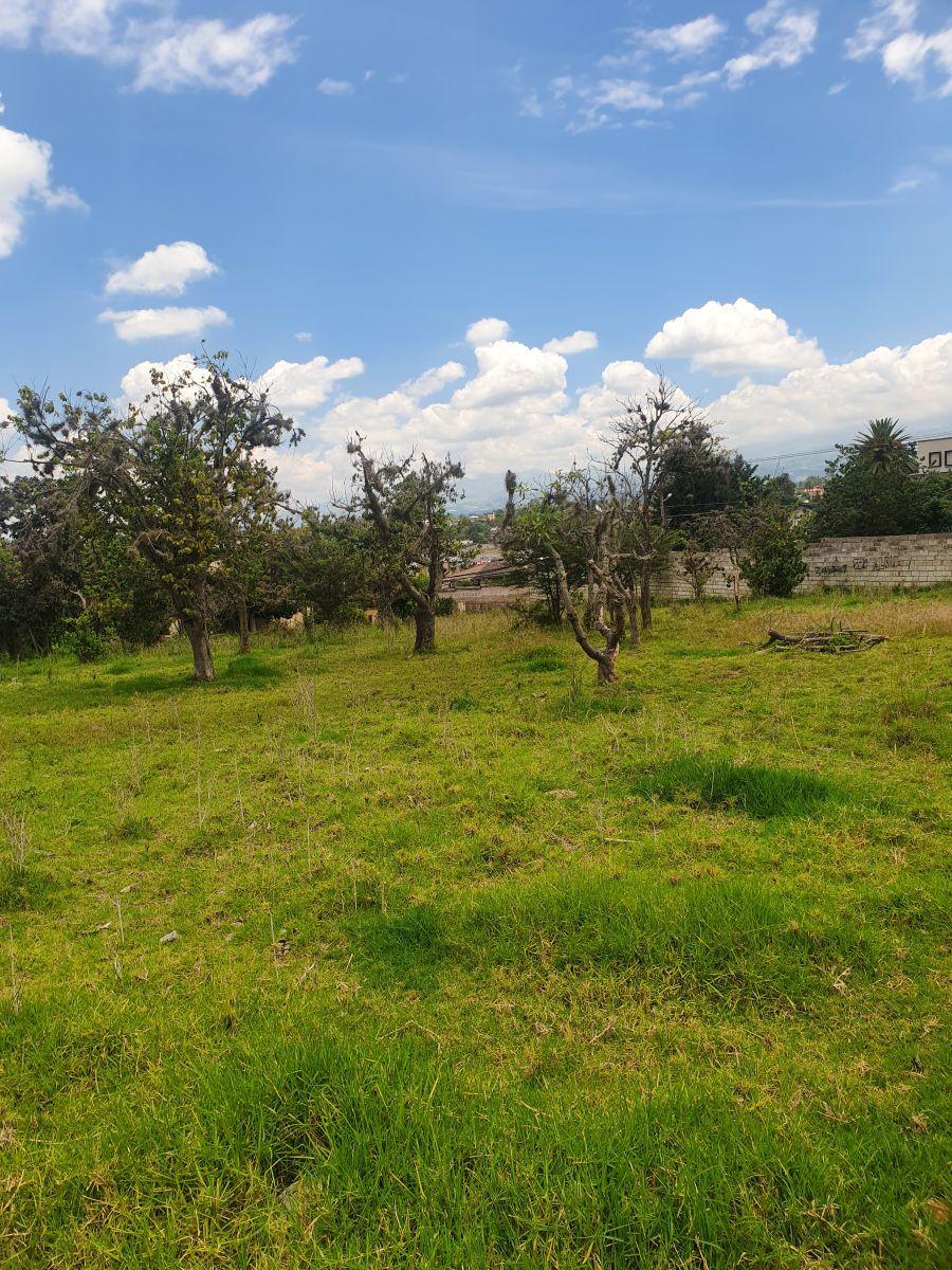 Terreno en Venta en Tumbaco | a Solo 3 Minutos del Parque Central | Excelente Ubicación — imagen 7