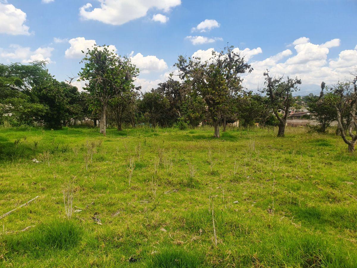 Terreno en Venta en Tumbaco | a Solo 3 Minutos del Parque Central | Excelente Ubicación — imagen 5