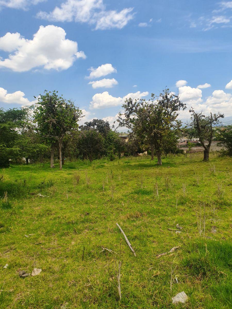 Terreno en Venta en Tumbaco | a Solo 3 Minutos del Parque Central | Excelente Ubicación — imagen 4
