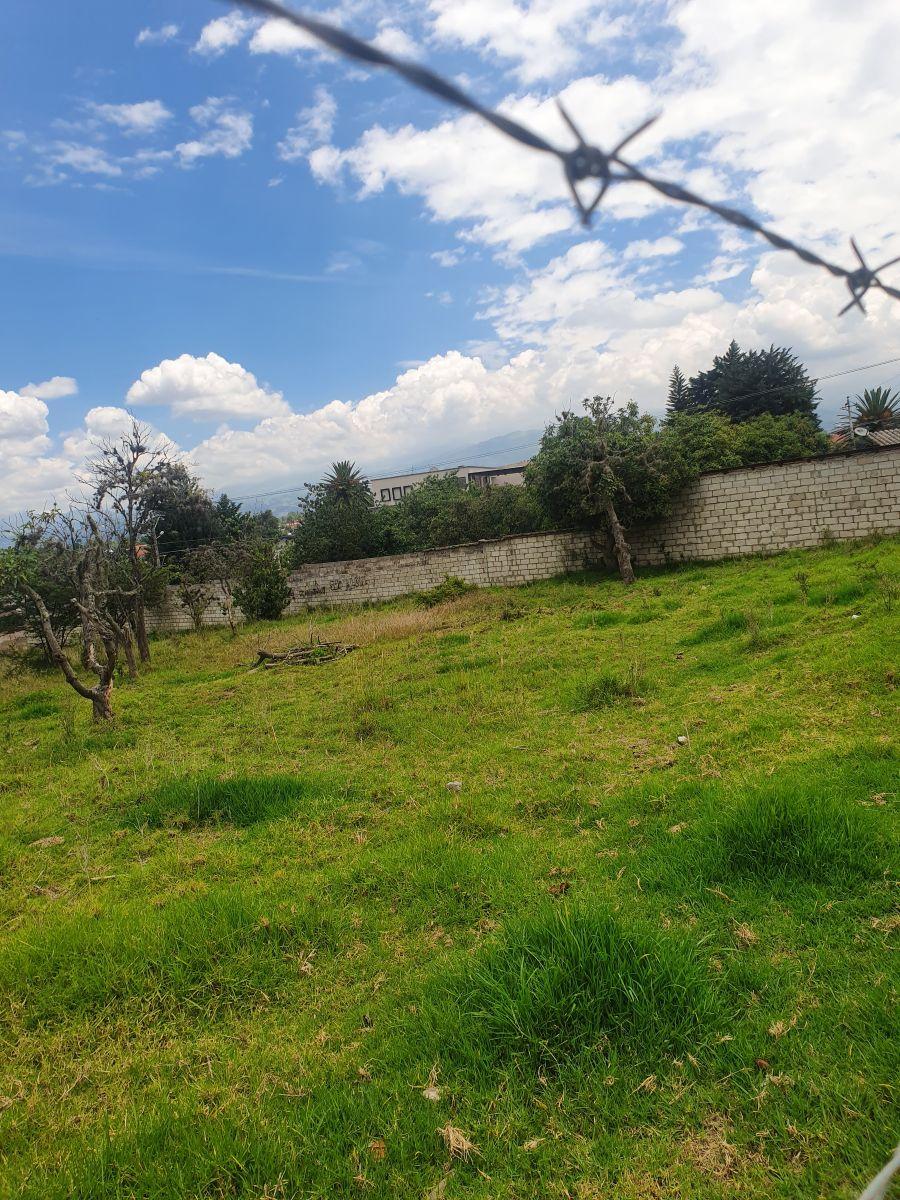 Terreno en Venta en Tumbaco | a Solo 3 Minutos del Parque Central | Excelente Ubicación — imagen 3