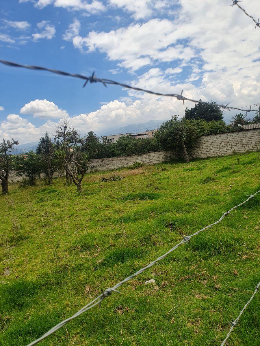 Terreno en Venta en Tumbaco | a Solo 3 Minutos del Parque Central | Excelente Ubicación — imagen 2