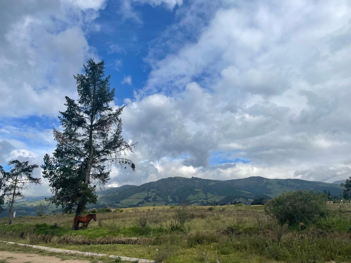 Vendo Terreno en Tababela - Via Al Aeropuerto — imagen 3