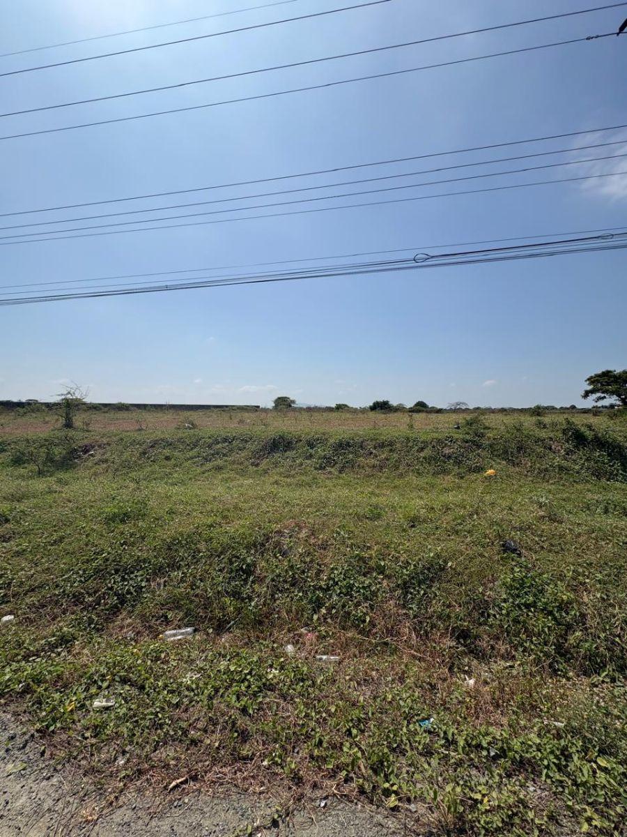 Samborondón, Salitre. Venta de Terrenos y Macrolotes Residencial, Comercial, Industrial, Guayas — imagen 10