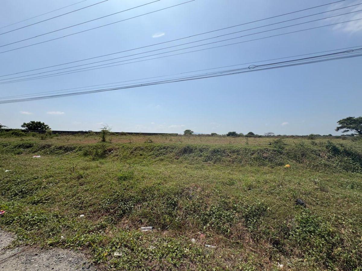 Samborondón, Salitre. Venta de Terrenos y Macrolotes Residencial, Comercial, Industrial, Guayas — imagen 9