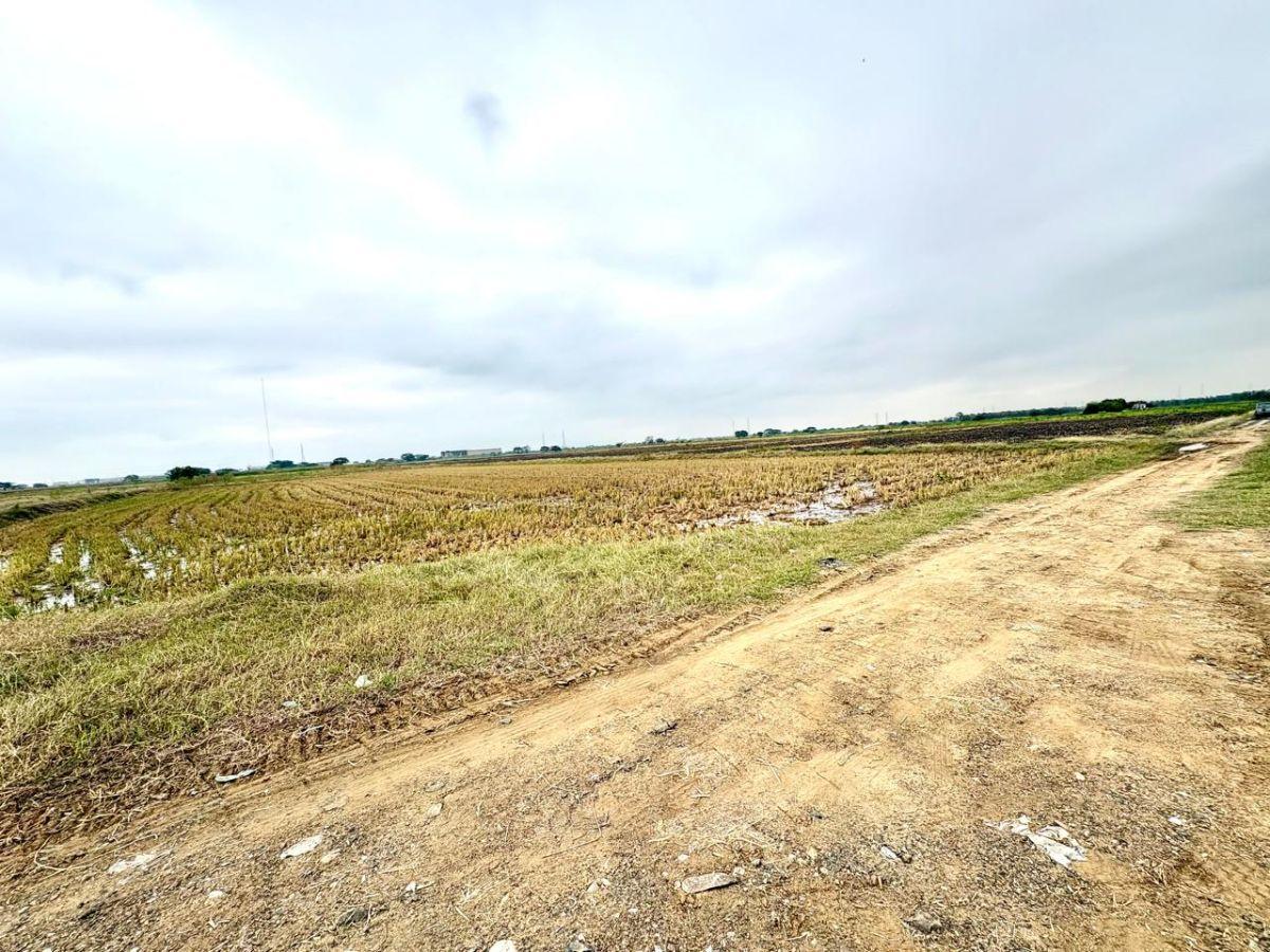 Samborondón, Salitre. Venta de Terrenos y Macrolotes Residencial, Comercial, Industrial, Guayas — imagen 8
