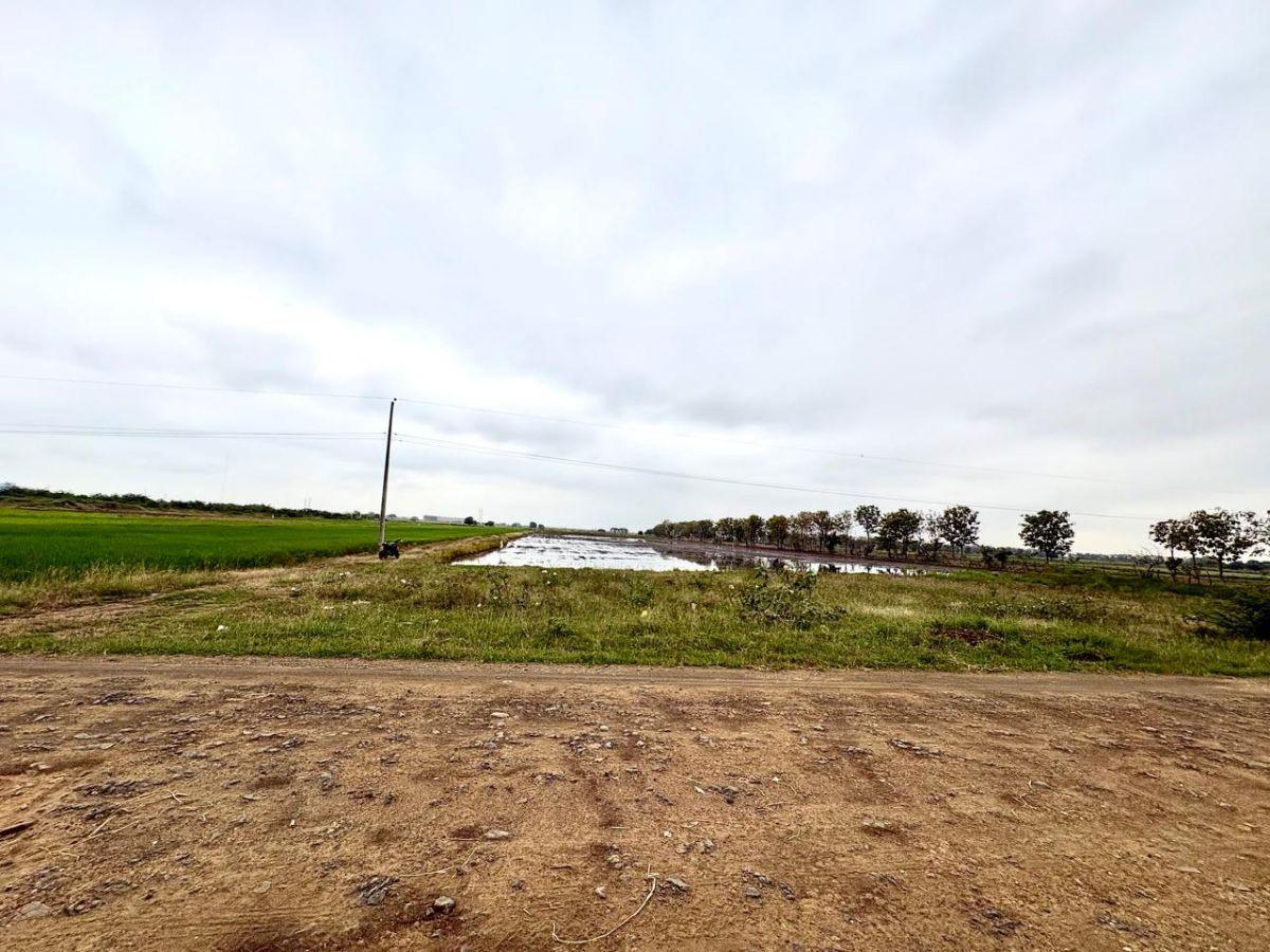 Samborondón, Salitre. Venta de Terrenos y Macrolotes Residencial, Comercial, Industrial, Guayas — imagen 7
